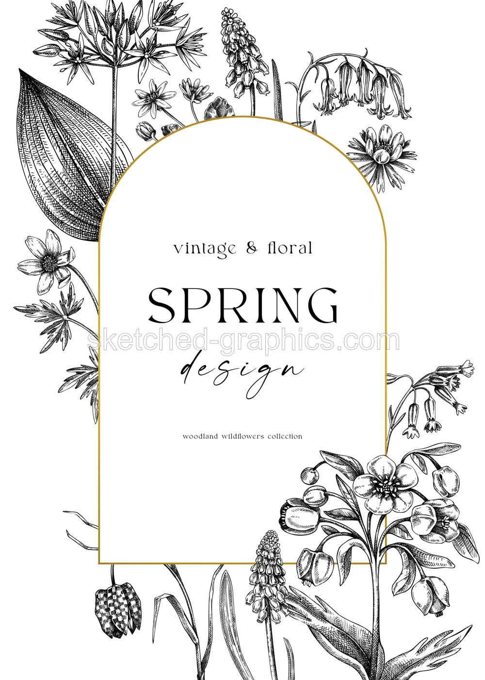 Elegant spring poster design. Wildflowers print in color. Woodland wild flower sketches. Floral background. Botanical card, invitation template . Hand drawn vector illustration, NOT AI Illustration
